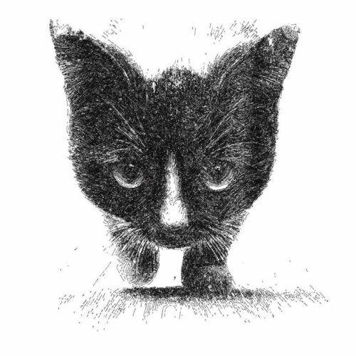 Mirada acechante