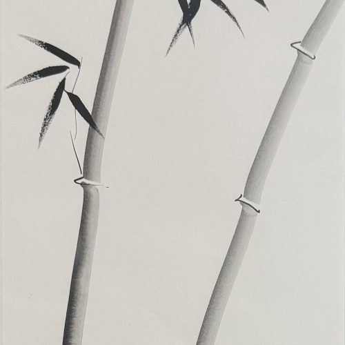Bambúes (II)