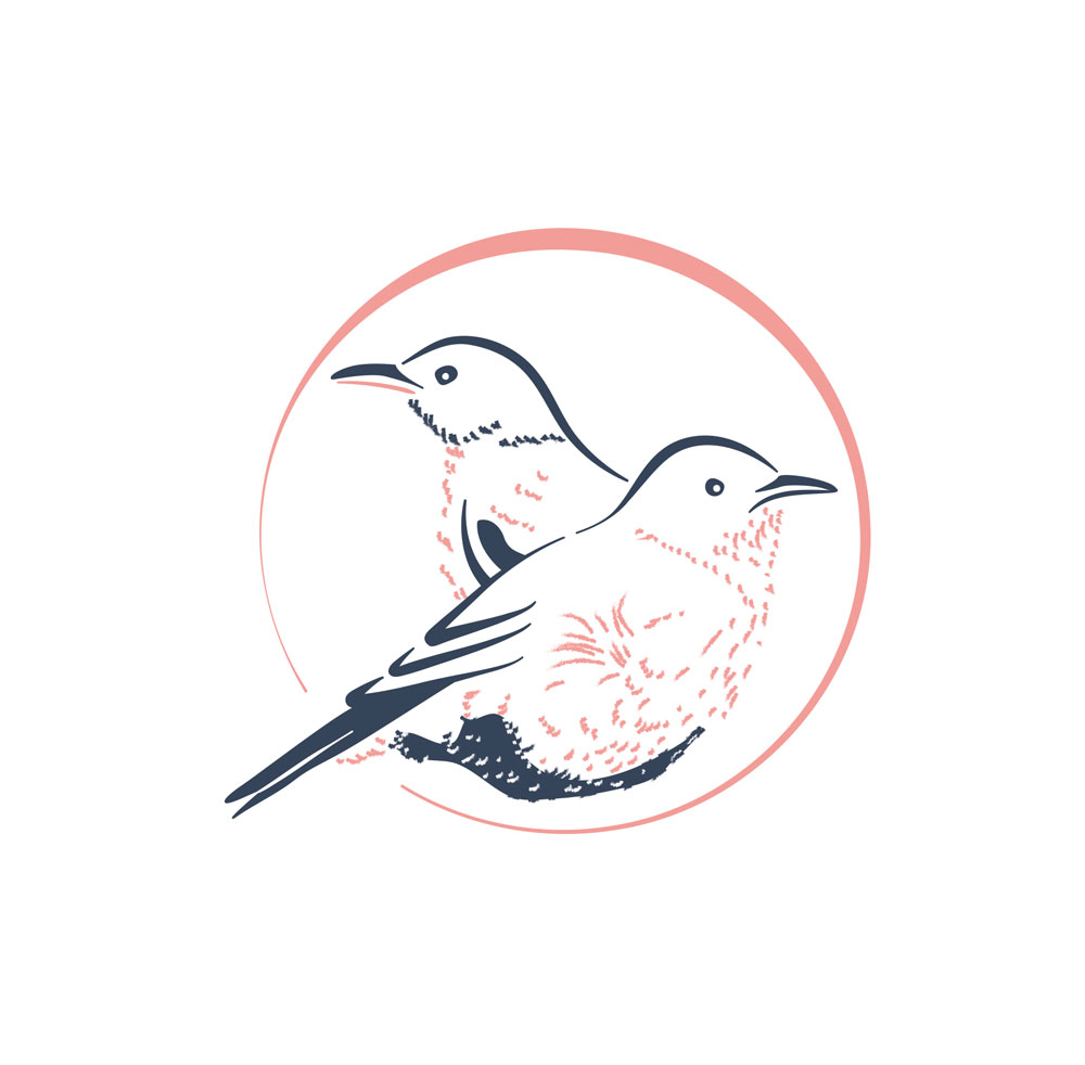 pajaros-pintados-marca2