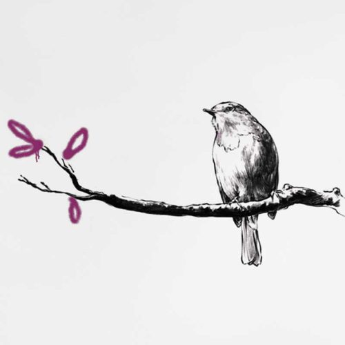 Pajarito
