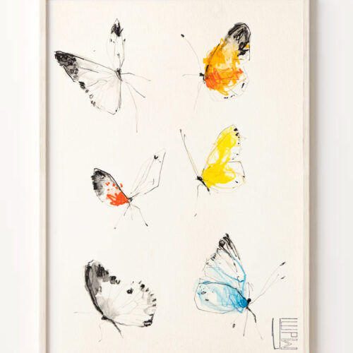 Mariposas de colores